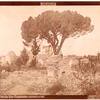 Benito P. Cerrutti Ruinas y Pino de San Francisco - Terremoto de 1861, Mendoza, circa 1880. 17,3 x 23,8 cm. Albúmina